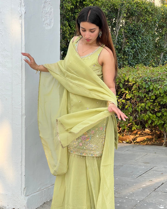 Premium Pista Sharara Set featuring Detailed Peacock Art and Back Dori